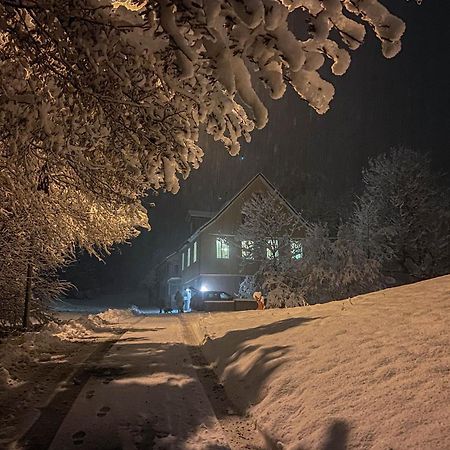 Ferienwohnung Im Gruenen アルトシュテッテン エクステリア 写真