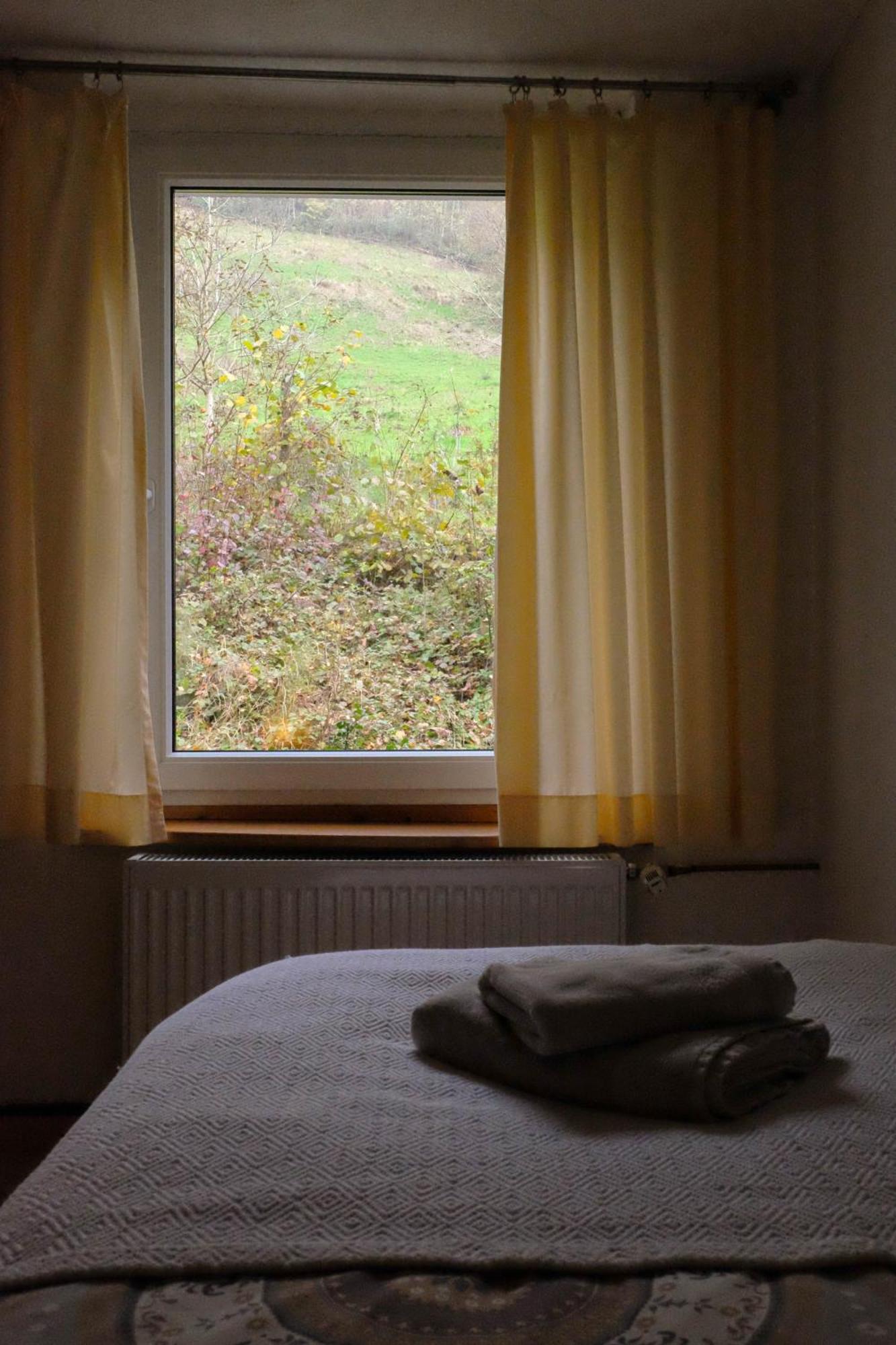 Ferienwohnung Im Gruenen アルトシュテッテン エクステリア 写真